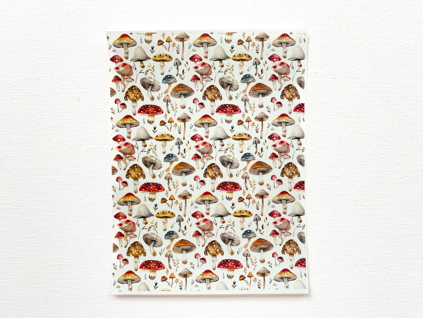 Transfer Sheet for Polymer Clay, Mushrooms #2