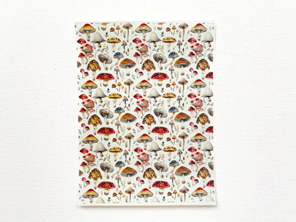 Transfer Sheet for Polymer Clay, Mushrooms #2