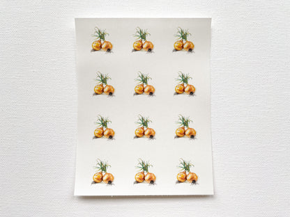 Custom Transfer Sheets for Vicki