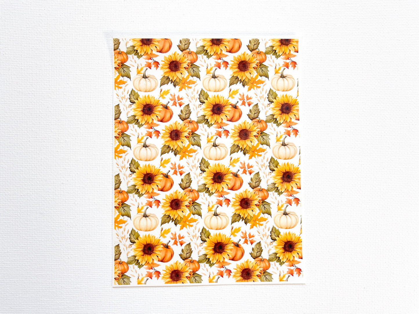 Transfer Sheet for Polymer Clay, Sunflowers & Pumpkins